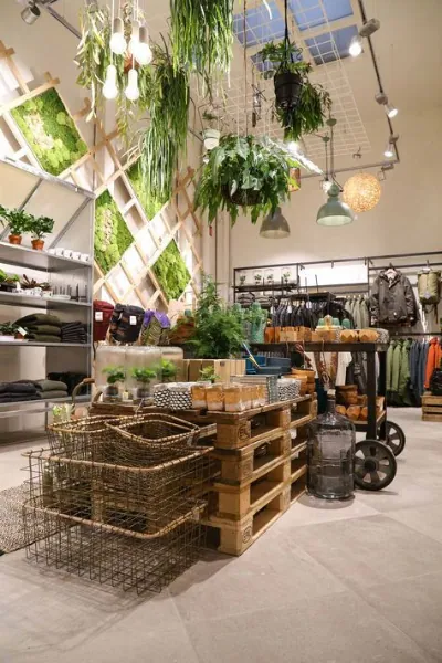 Decoración plantas
