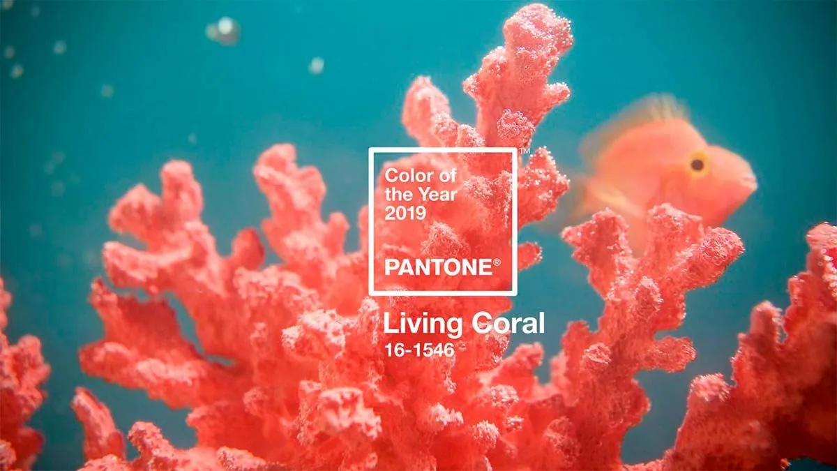 Color Pantone del año 2019: LIVING CORAL