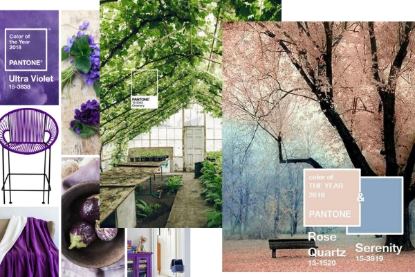 UltraViolet, Greenery y Serenity