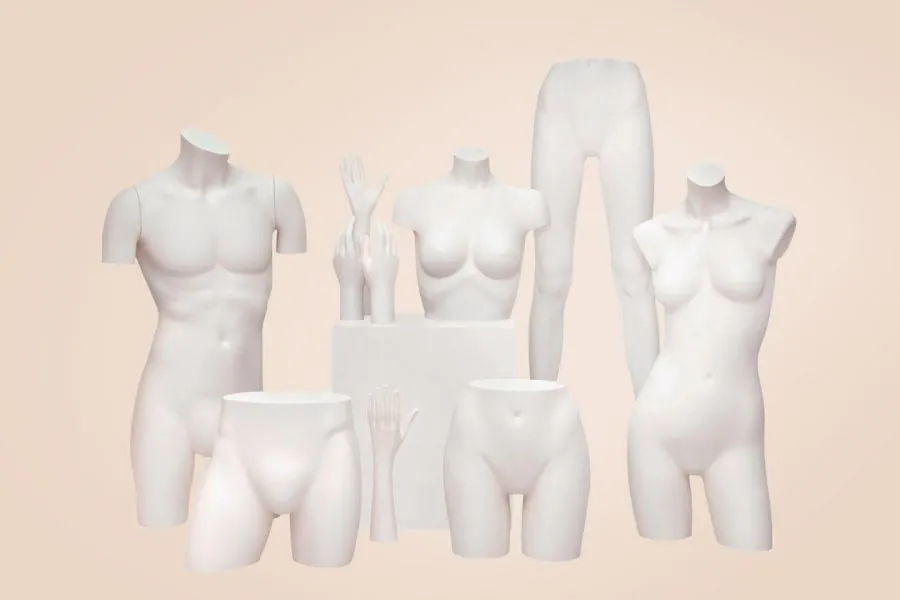 Torsos y lencería
